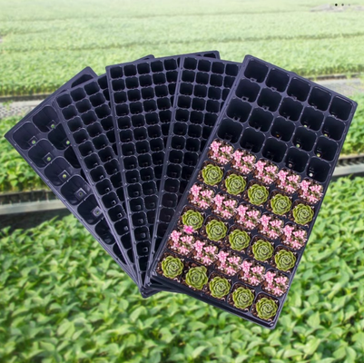 farm seedling tray,cell plug tray,multi‑cell seed tray,square cell seed tray,72 cell tray,