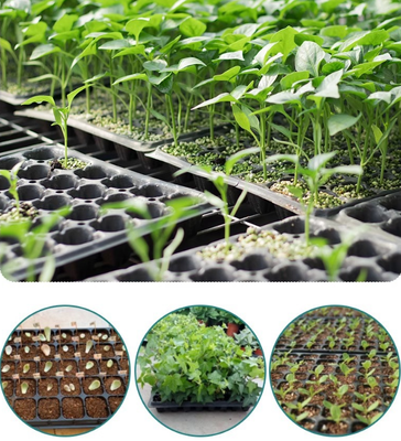 seed starting tray,plastic seed tray,nursery tray,plug tray,seedling tray