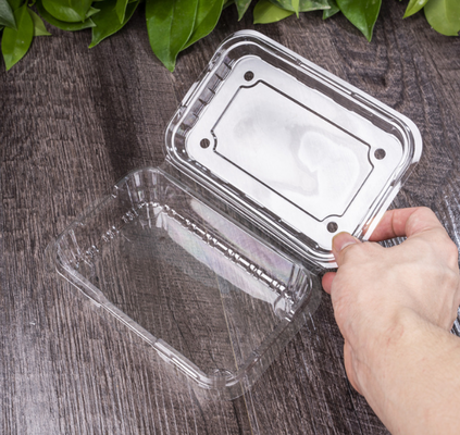 Fruit packaging, meat packaging boxes, vegetable packaging boxes, seedling trays, plastic flower pots, fast food boxes, as well as PVC, PP, PET transparent boxes and printed boxes.