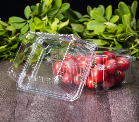 Customized disposable fresh fruit cutting box with transparent lid and compartmentalized fruit packaging box made of PET fruit plastic packing box