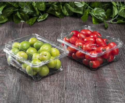 clamshell container  plastic clamshell box  pet clamshell container fruit clamshell box