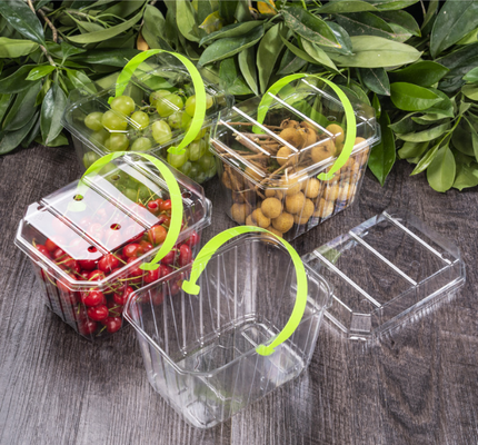 berry punnet box  food clamshell packaging  fruit takeout box rigid plastic fruit container  supermarket fruit box  fresh fruit packaging box