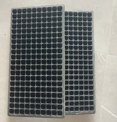 greenhouse tray,seed plug tray,nursery plug tray,hydroponic seed tray,vegetable seed tray