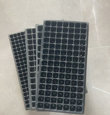 thickened seed tray,standard nursery tray,rigid plug tray,multiple cavity tray,uniform cell tray,flat seed starting tray,PS plastic seed tray,PVC nursery tray