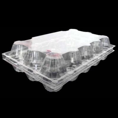 15packs Disposable PET Clear Plastic Egg Tray 71mm Square Egg Tray Holder