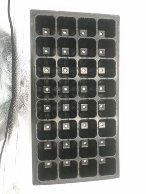 2mm thick 32-cell Plastic Seedling Tray for Forest Trees - Aging Resistant and Durable